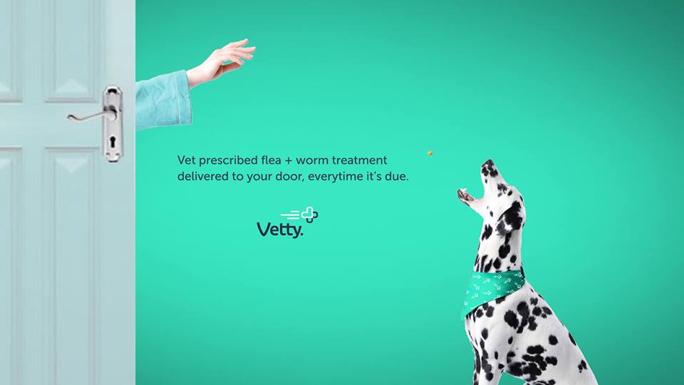 Vetty - Content Marketing