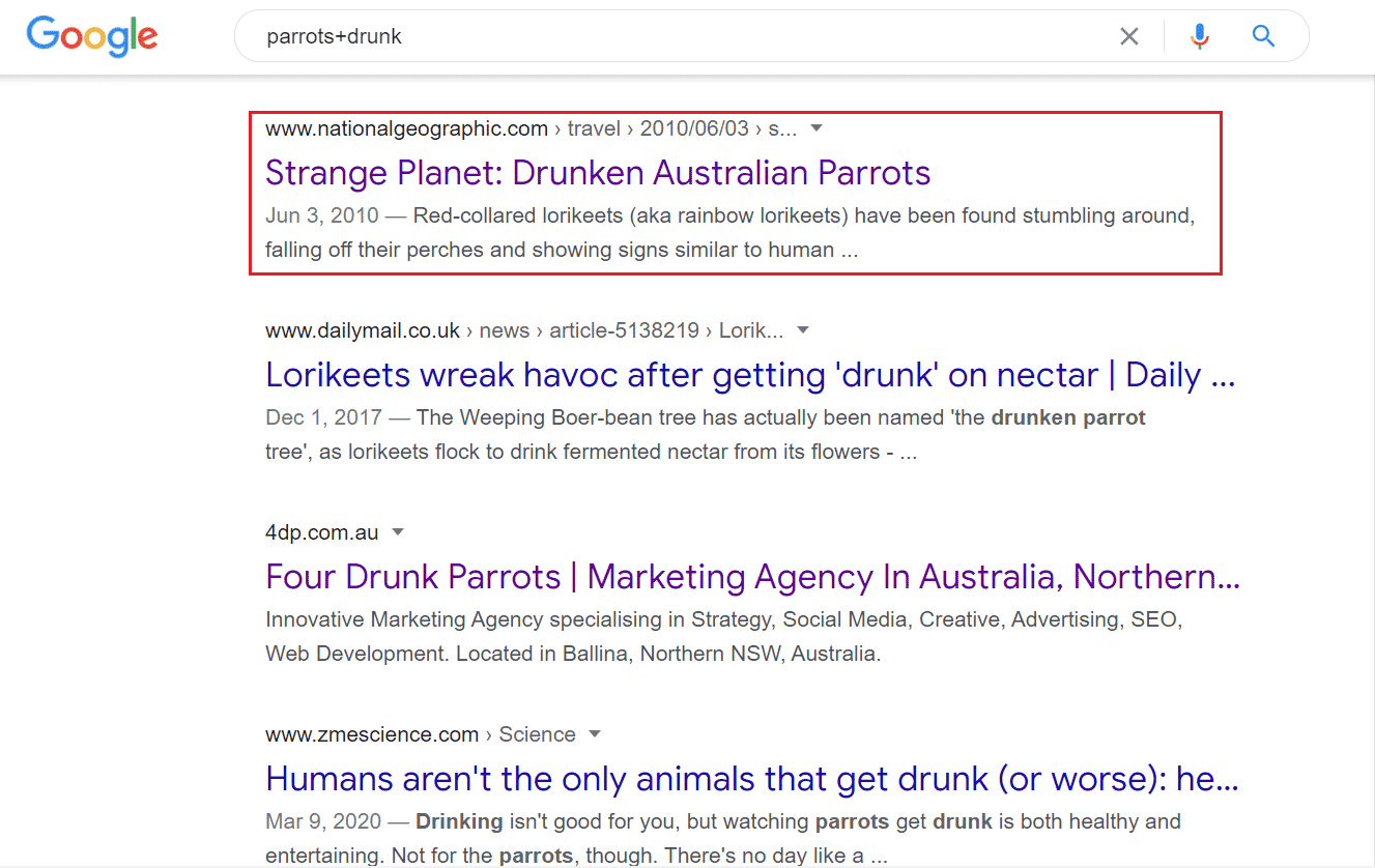 Google search parrots+drunk