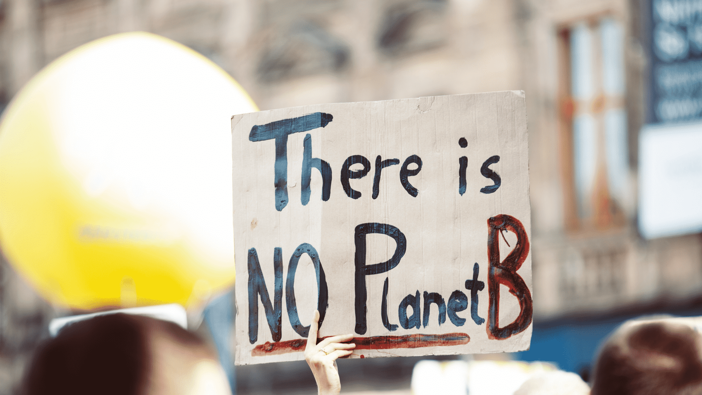 There is no planet B sign in a protest