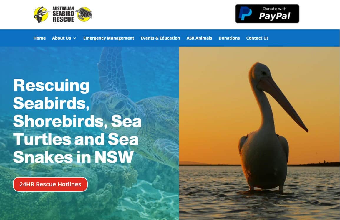 Australian sebiard rescue website homepage