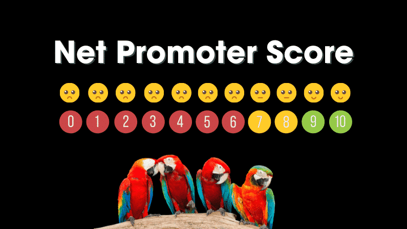 Four Drunk Parrots announce their latest net promoter score survey results