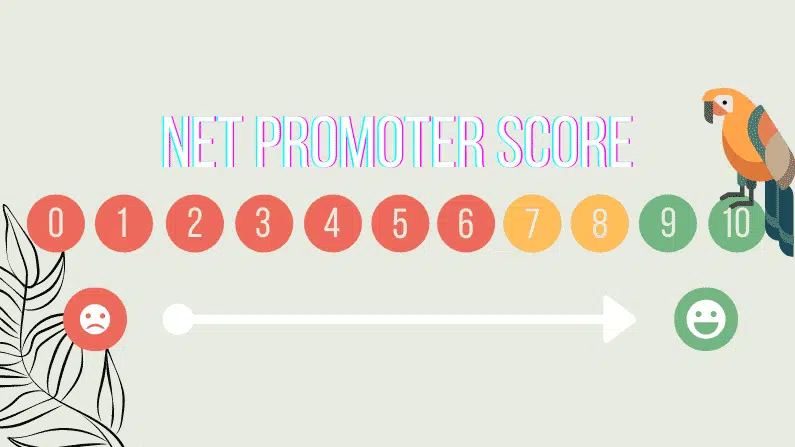 Net Promoter Score - Foure Drunk Parrots