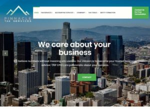 Pinnacle Tax Services - example of accounting websites