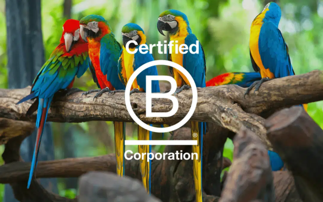 We’re officially a B Corp!