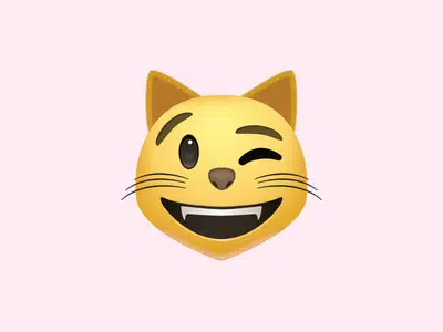 Image result for winking cat emoji