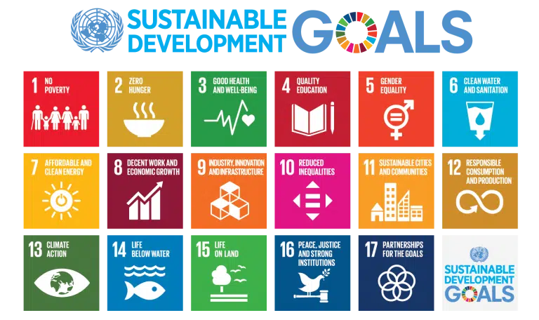 The UN Sustainability Goals: Why Aligning Your Business With Them is Good for Business