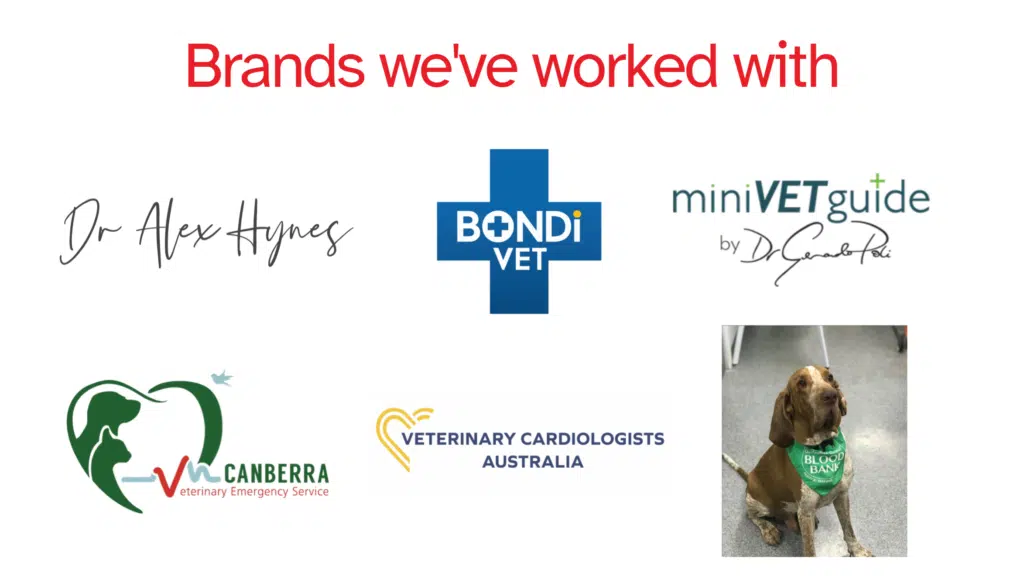 Collection of logos of veterinary brands Four Drunk Parrots has worked with