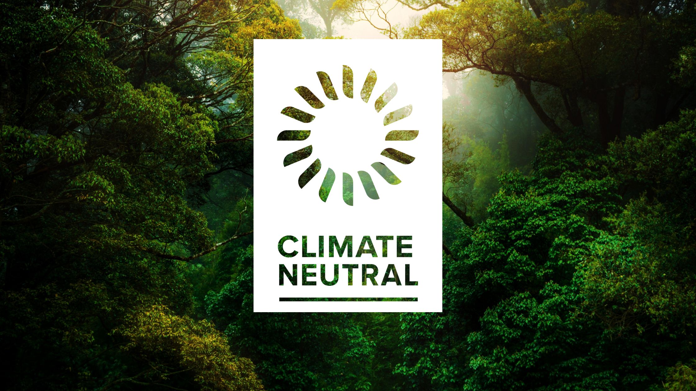 Climate neutral logo with rainforest background.
