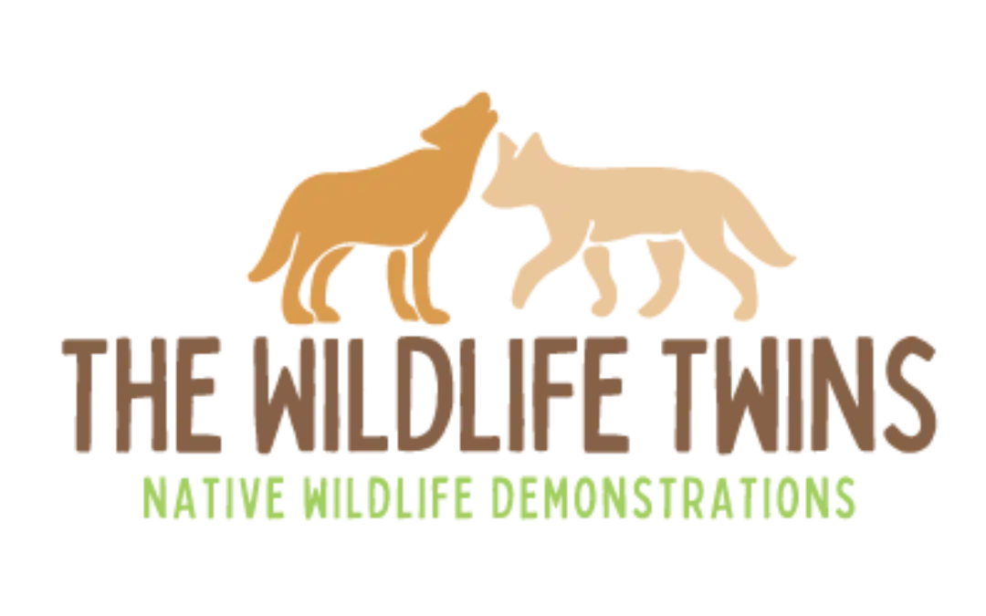 The Wildlife Twins: Building a Nature-inspired Brand and Engaging Collateral